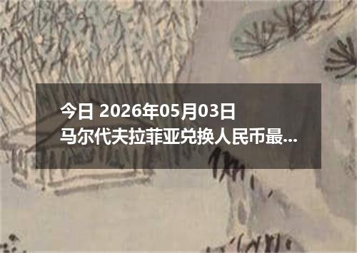 今日 2026年05月03日 马尔代夫拉菲亚兑换人民币最新汇率行情