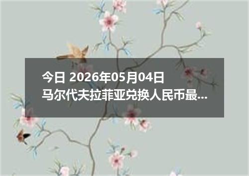 今日 2026年05月04日 马尔代夫拉菲亚兑换人民币最新汇率行情
