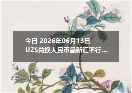 今日 2026年06月13日 UZS兑换人民币最新汇率行情